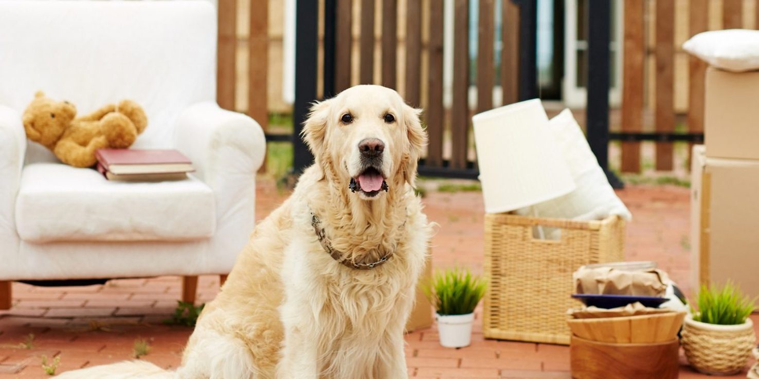 Burleigh Heads Conveyancing Lawyers