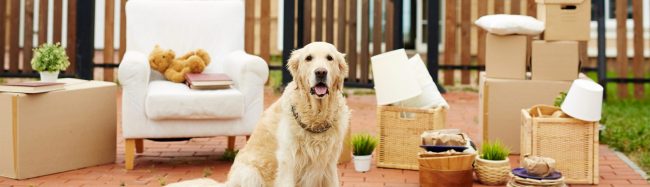 Burleigh Heads Conveyancing Lawyers